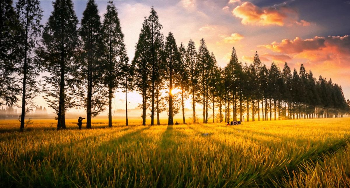 常寧“漁羅公路”解鎖農(nóng)旅融合的“共富樣本”