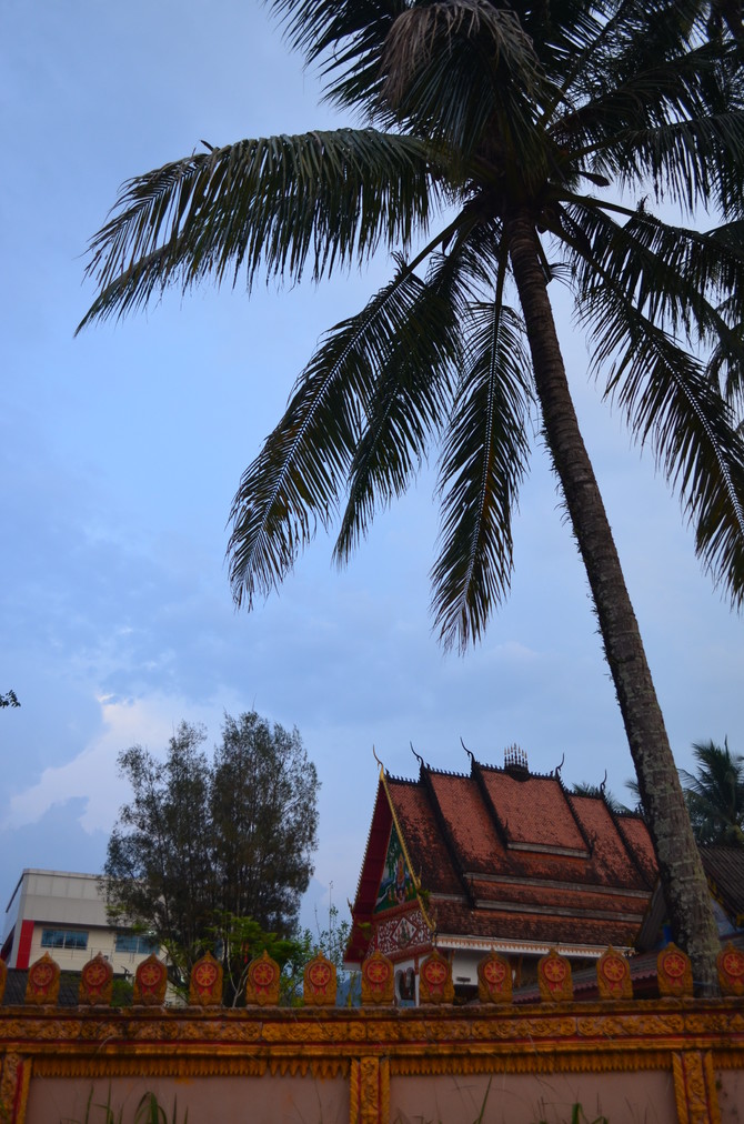 一路向南尋找綠和藍