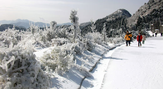 中國(guó)衡陽(yáng)新聞網(wǎng) gdaosheng.com